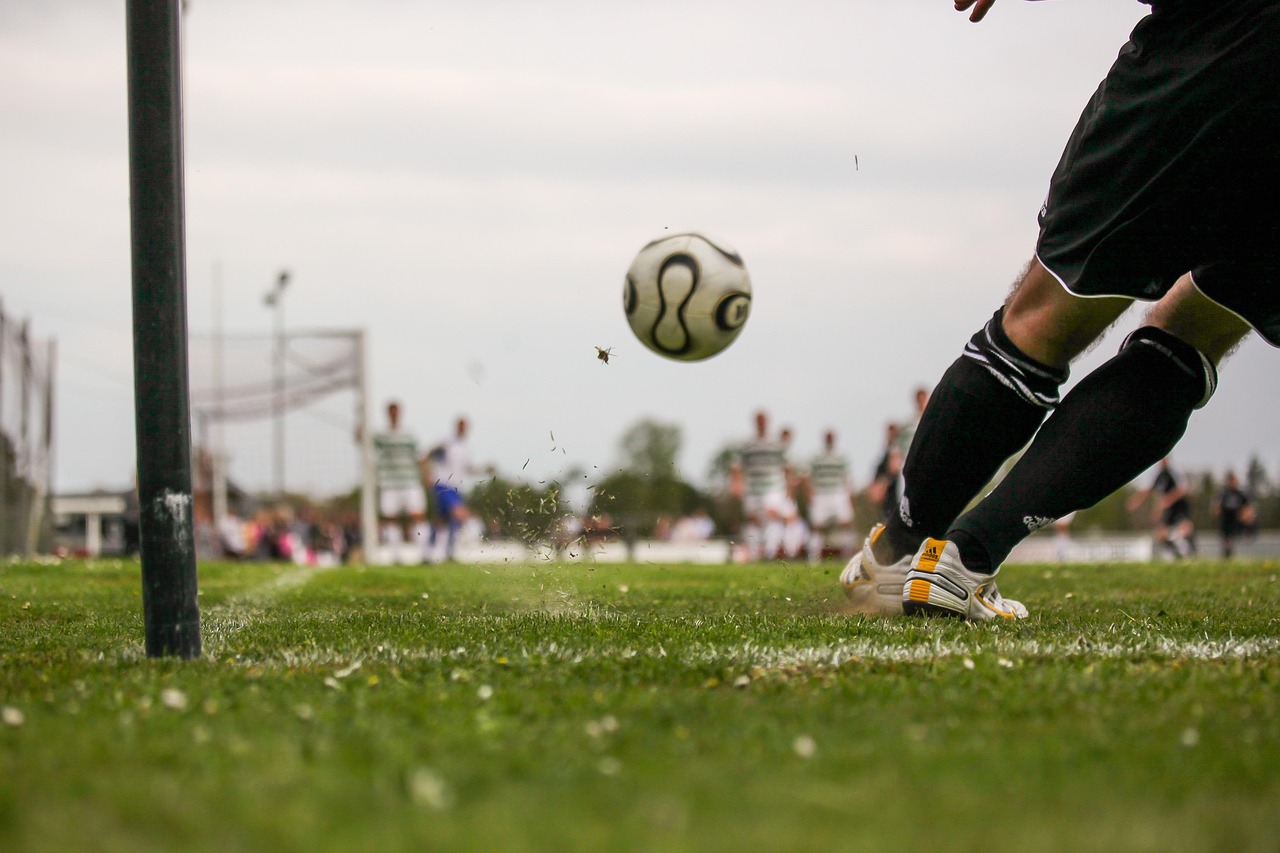 Complete Best Fantasy Sports App India Review 2027: Bonus, App, Withdrawal Teste